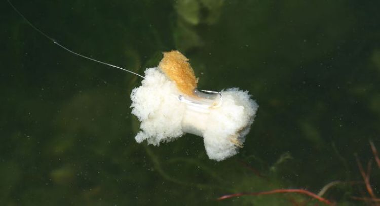 Picture of Nash BREAD BOMB