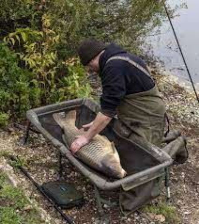 Picture of Trakker Sanctuary Cradle