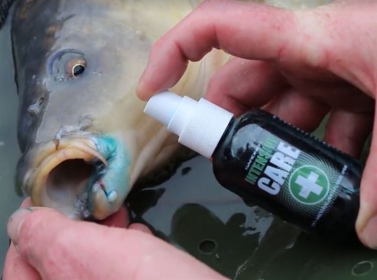 Picture of Gardner Intensive Care (Carp Spray)