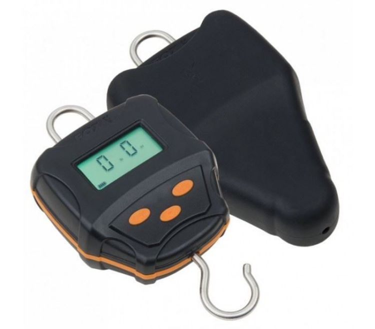 Picture of Fox Digital Scales