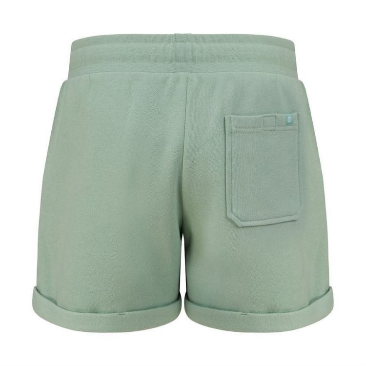 Picture of Navitas Womens Shorts Light Green