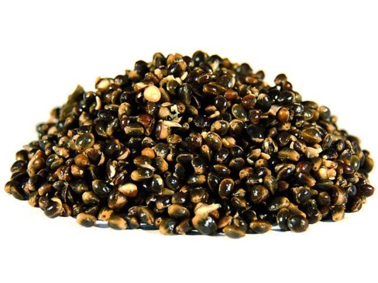 Picture of Коноп Carp Fever Hempseed