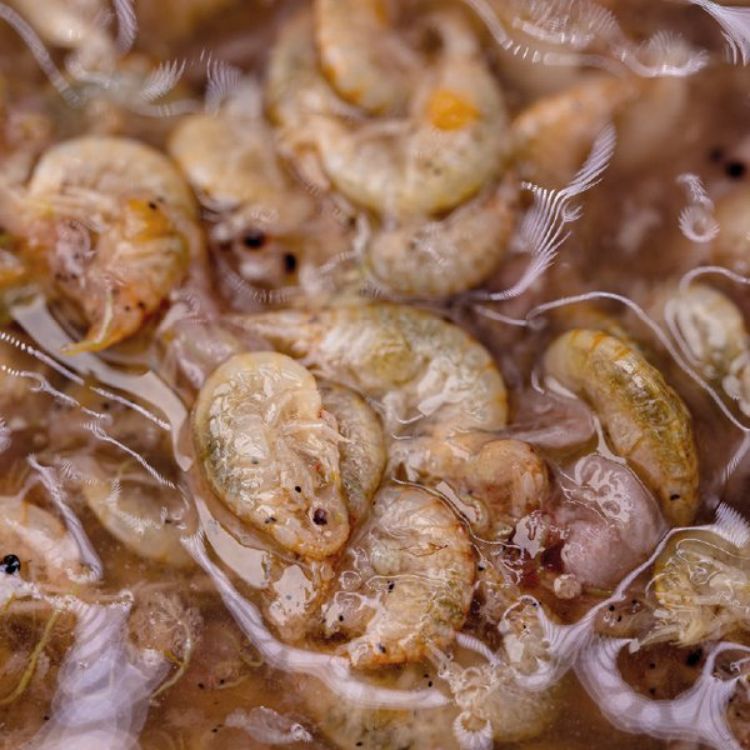 Picture of NASH BAIT BRINE SHRIMP & GAMMARUS 500ml