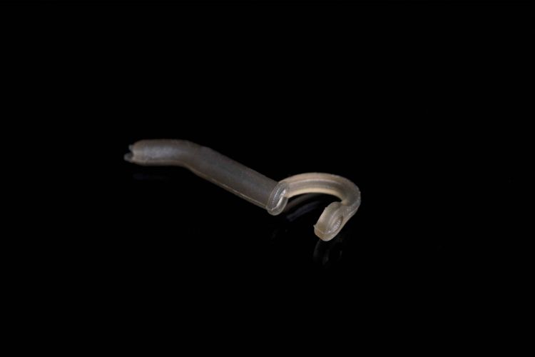 Picture of RidgeMonkey Mini D-Rig Kickers