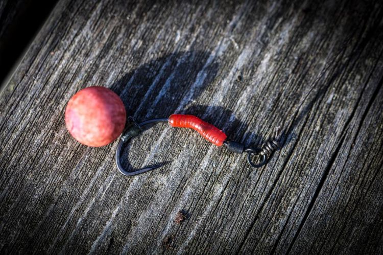 Picture of ONE MORE CAST Dazzlers Bloodliner - Inturn