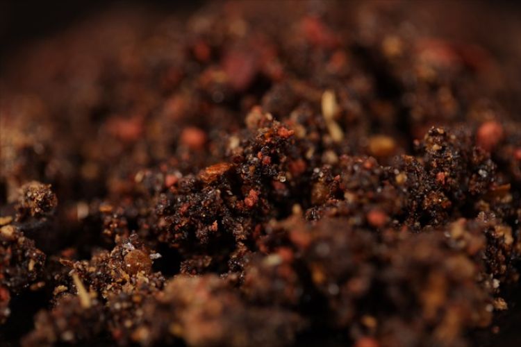 Picture of Sticky Baits Bloodworm Active Mix