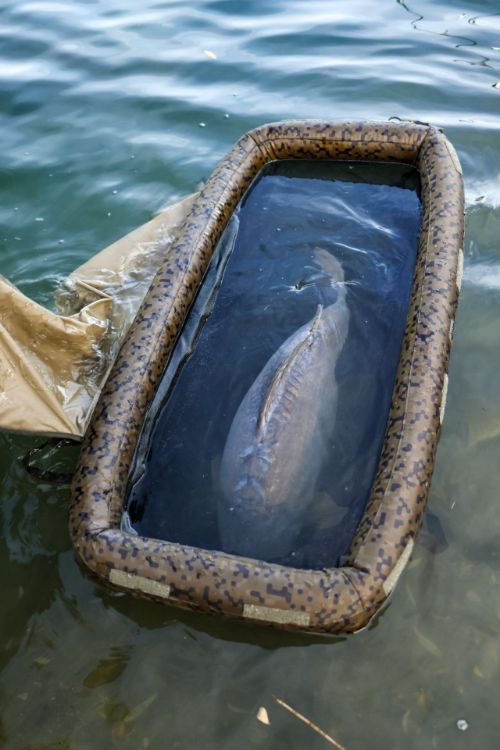 Picture of Solar SP C-TECH FLOATATION CELL